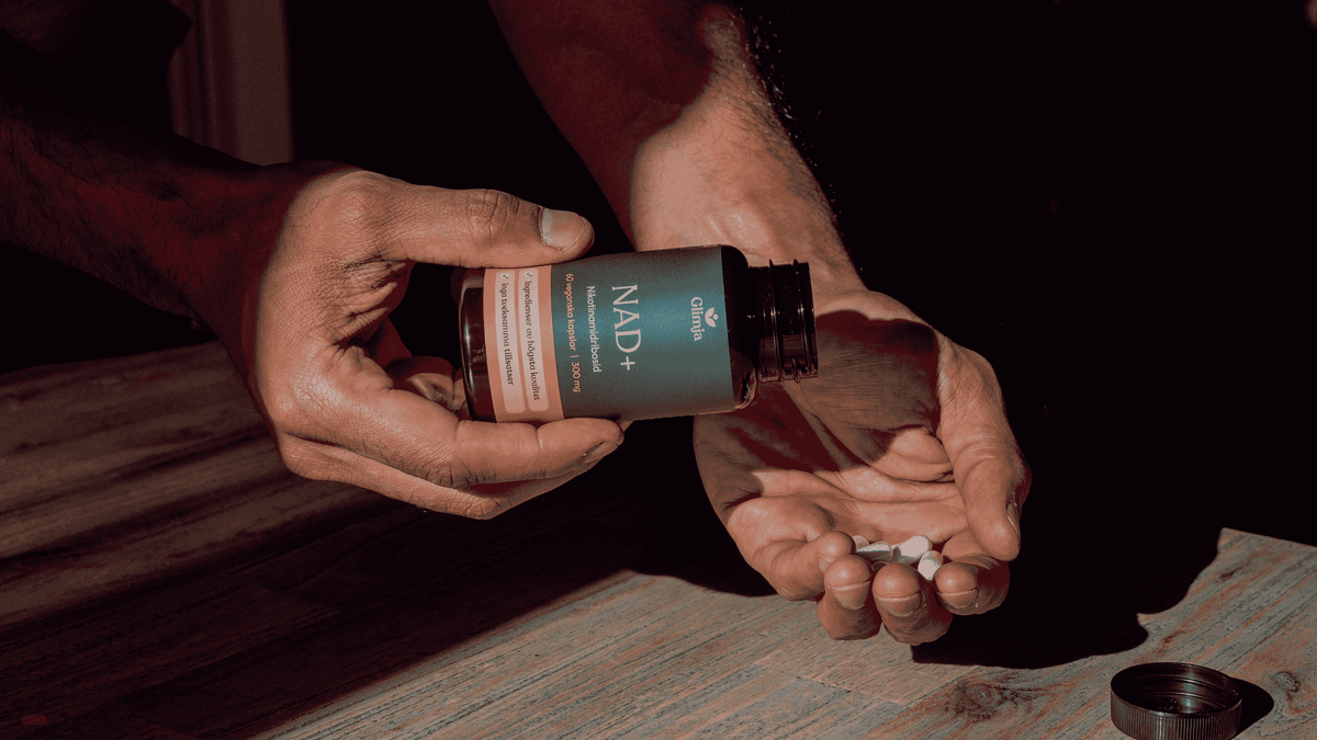 Longevity – vad betyder det egentligen?