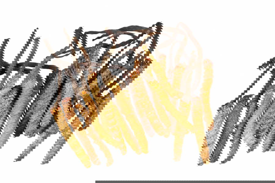 Instant Coffee Mix Cordyceps / Chaga