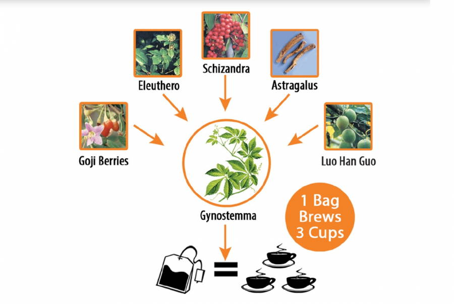 Spring Dragon Te fra Dragon Herbs