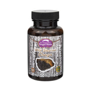 Wild Siberian Chaga Extract from Dragon Herbs