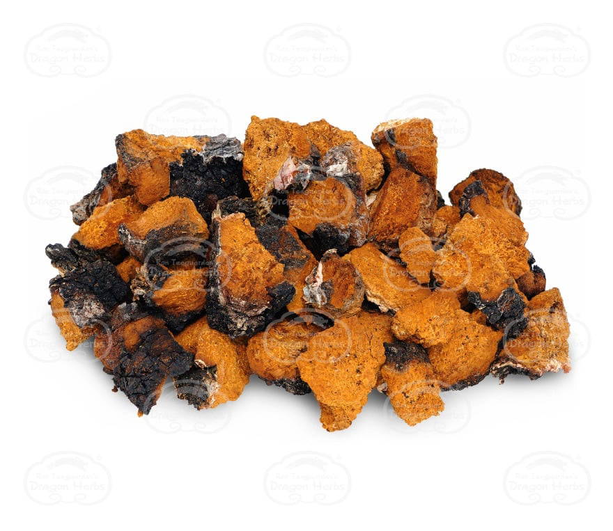 Wild Siberian Chaga Extract from Dragon Herbs