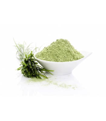 Alive Foods Organic Wheatgrass Powder 200 grams