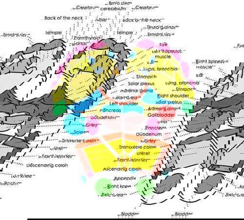Global Healing Center Foot Pads