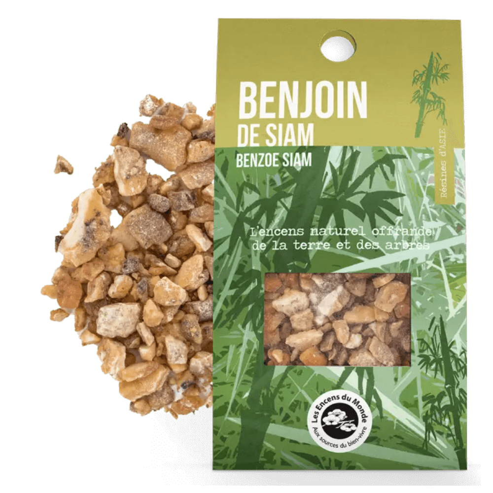 Harts Benjoin du Laos