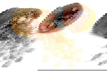 Alive Foods RAW Organic Baobab Powder 200 grams