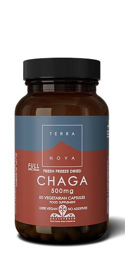 Terranova Chaga 500 mg