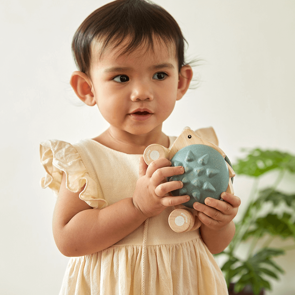 PlanToys - Pull Toy Hedgehog Blue
