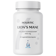 Holistic Lions Mane, 60 kapsler