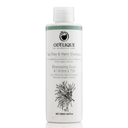 Odylique - Tea Tree & Herb Shampoo, 200 ml