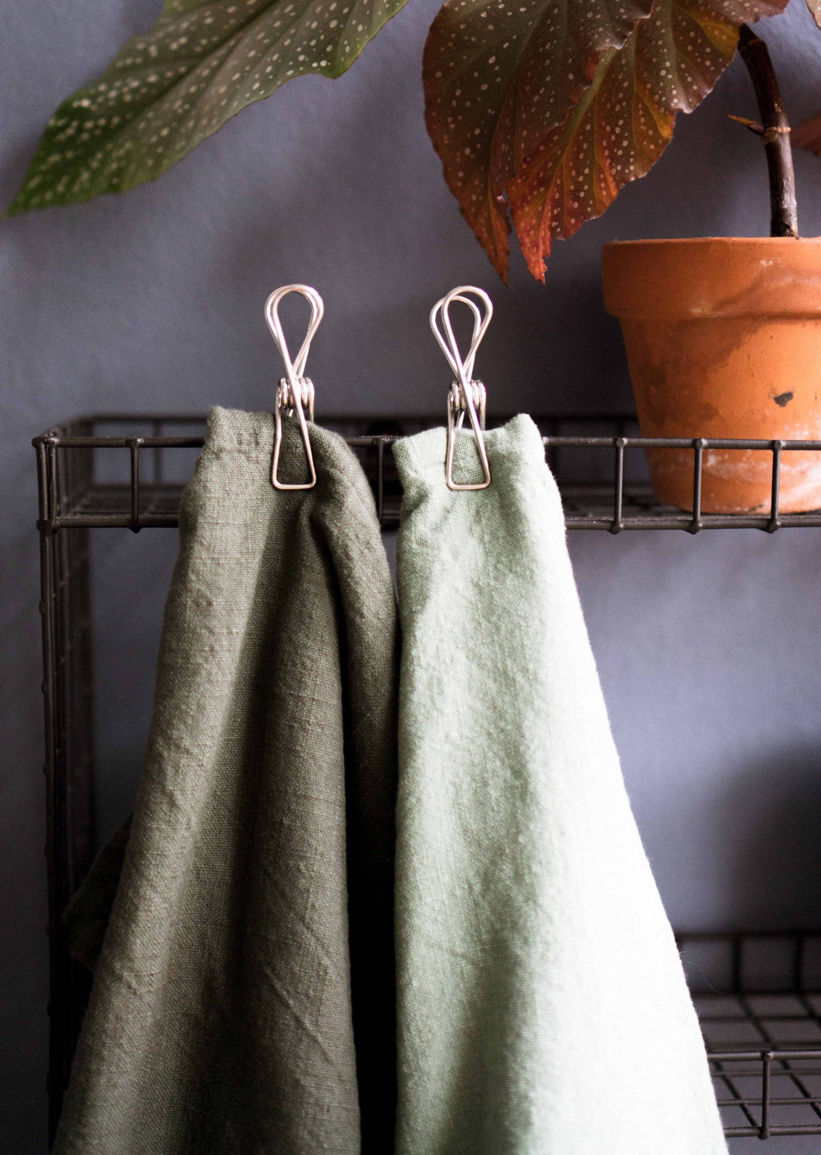 SteelClamp - Stainless Steel Clamp, 10 pack