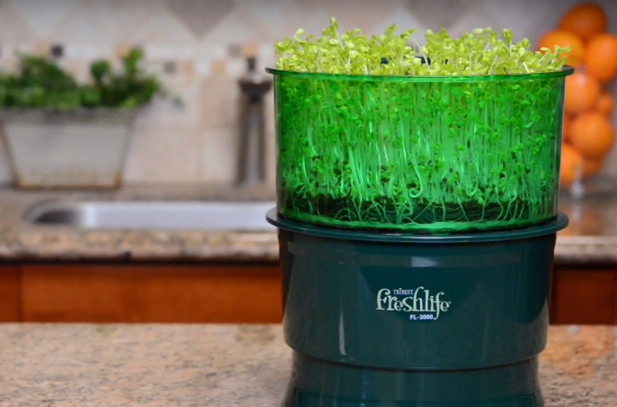 Groddmaskin Freshlife FL-3000