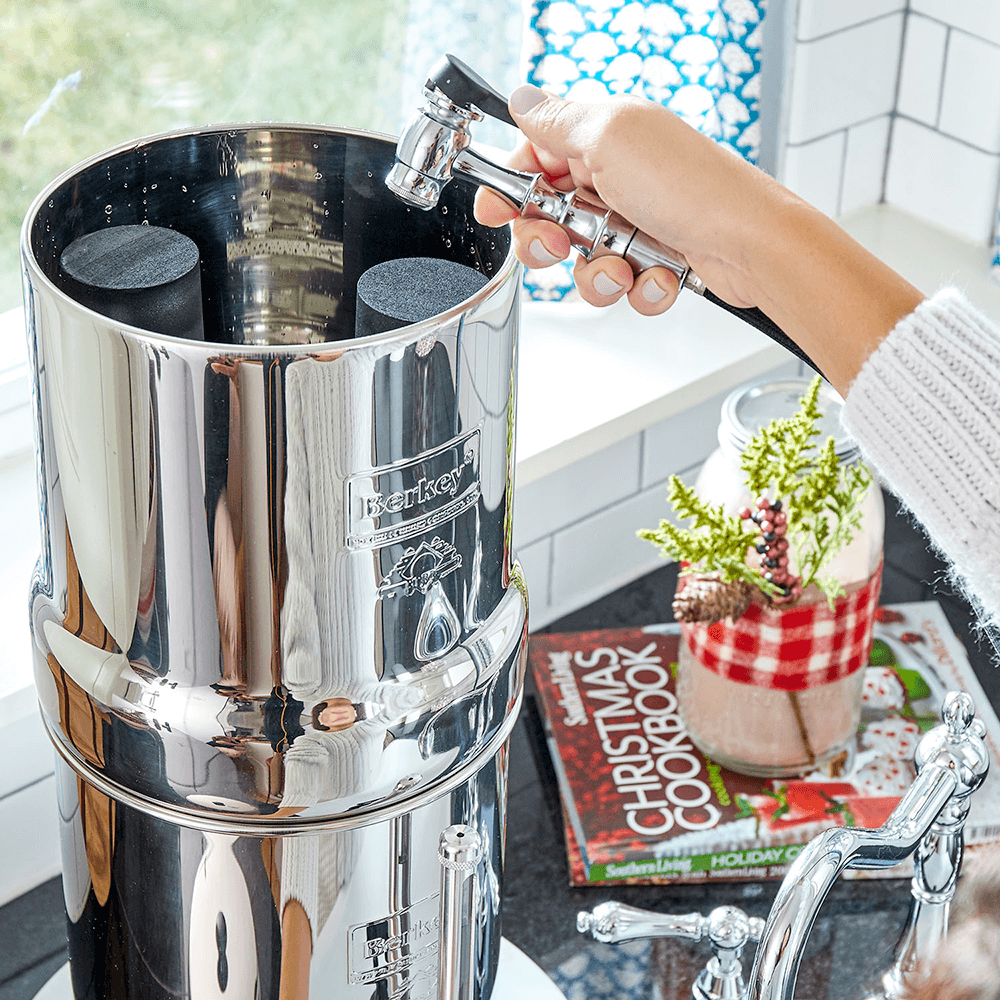 Berkey Filters - Phoenix Gravity Replacement Elements