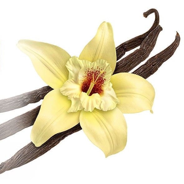 Turmeric Latte with Vanilla/Cocoa