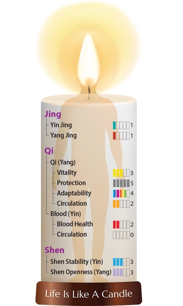 Wild Siberian Chaga Extract from Dragon Herbs