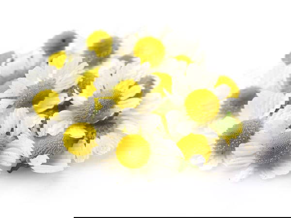 Logodent Daily Care Tandkräm