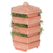 Terradisiena Sprouting Rack Terracotta