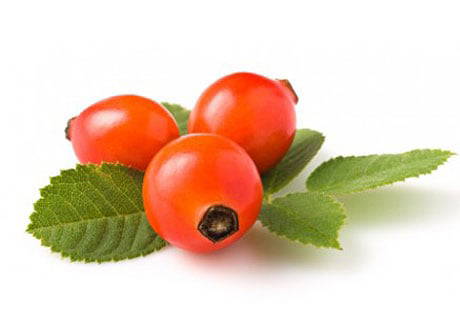 Organic Cold-Pressed Rosehip Seed Oil from Akamuti