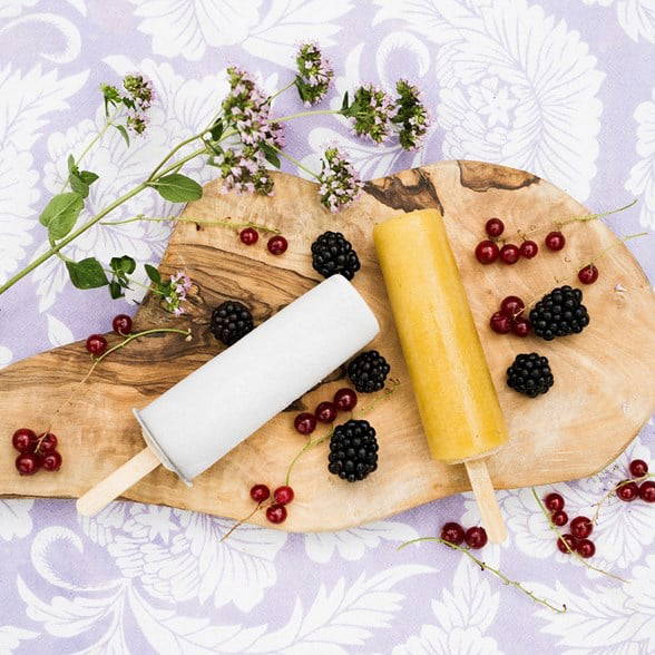 PopsicleMold - Stainless Steel Round Ice Pop Molds