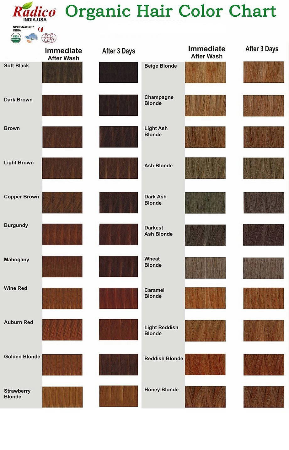 Radico - 100% Organic Hair Color Beige Blonde, 100 g