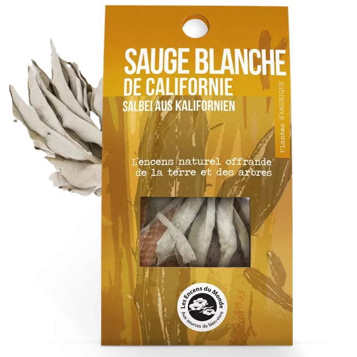 Vit Salvia från Kalifornien i box