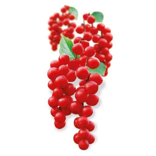 Adrenal Pro - 60 kapslar