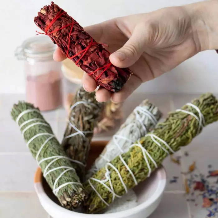 Vit Salvia Dragons Blood, 10 cm