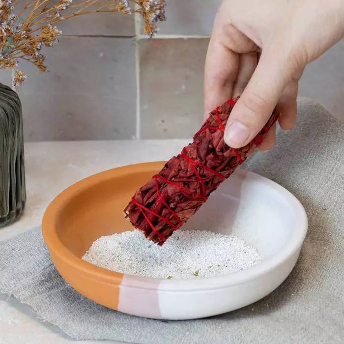 Vit Salvia Dragons Blood, 10 cm