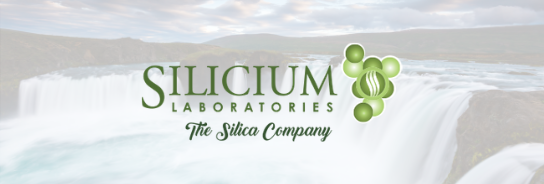 Silicium Laboratories