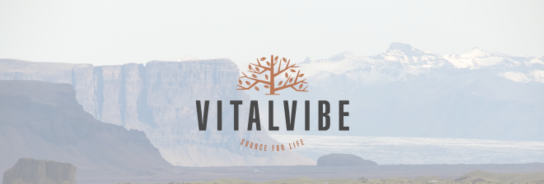 VitalVibe