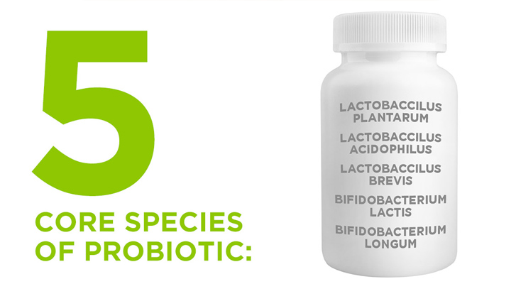 Probiotics - Why is it such an important dietary supplement? 2