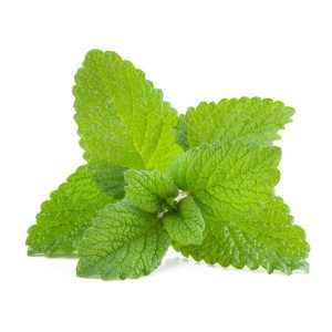 Lemon_Balm_bf04d4b6-2aa5-488a-b8c1-8b865a037ba0_2000x-300x300.jpg