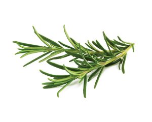 rosemary-1200x960-1-300x240.jpg