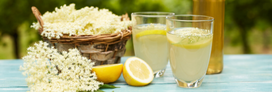 Elderflower