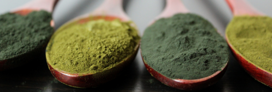 Green Powders