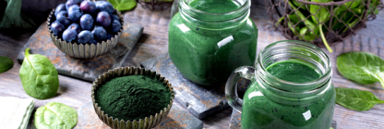 Chlorella