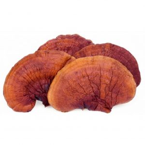 reishi-300x300.jpeg