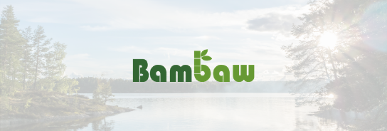 Bambaw