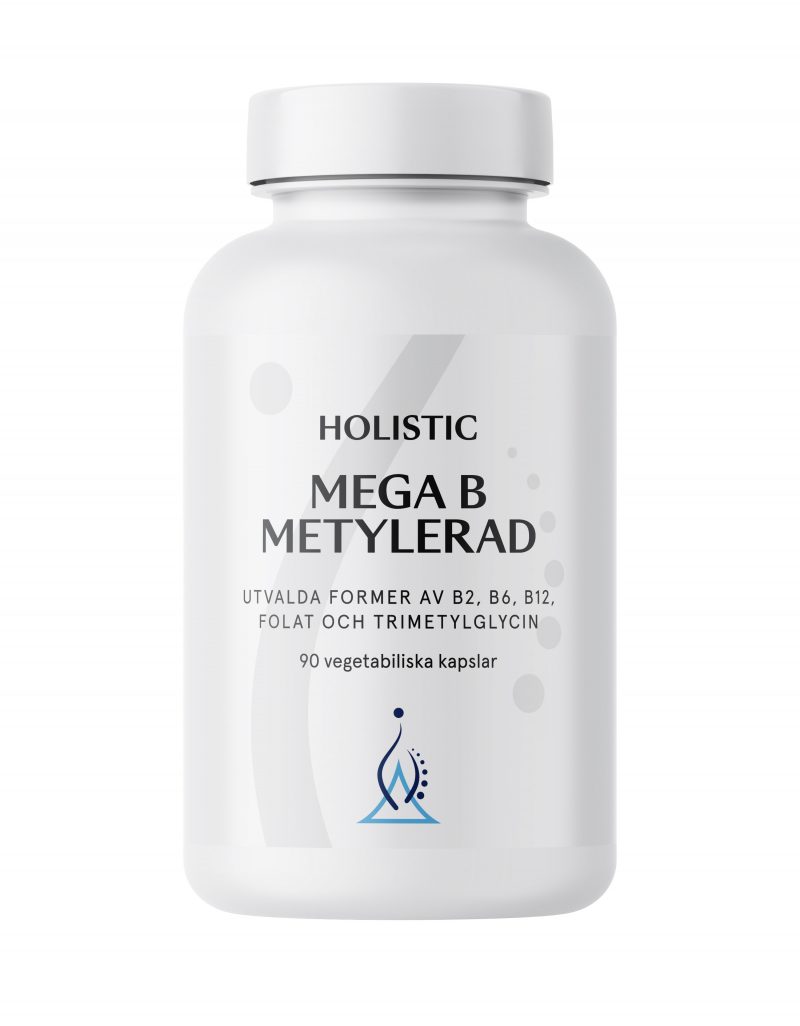 Holistic Mega B Metylerad 1