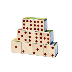 32341-PlanToys-Animal-Puzzle-Cubes-Klosspussel-4-300x300.png