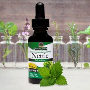 Natures-Answer-Nettle-Liquid-Extract-No-Alcohol-1-1-01-1-700x700-1-300x300.jpg