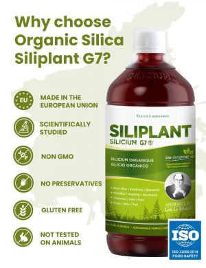 g7-siliplant-biodinamizado-1l-1-300x390.jpg