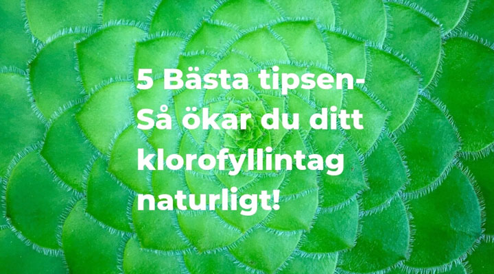 De 5 bästa tipsen för att få i dig tillräckligt med klorofyll 3