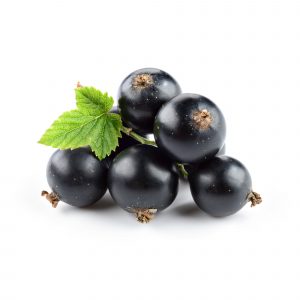 Black_Currant_2000x-300x300.jpg