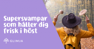 Supersvamparna som håller dig frisk i höst! 1