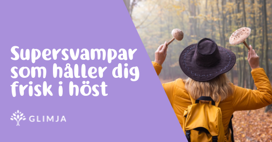 Supersvamparna som håller dig frisk i höst! 1