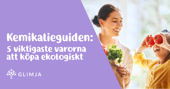  5 viktiga varor att byta till eko enligt naturskyddsföreningen