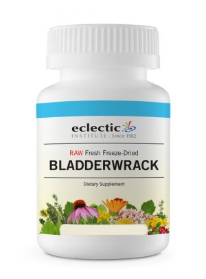 Eclectic Institute Frystorkad Bladderwrack 90 kapslar