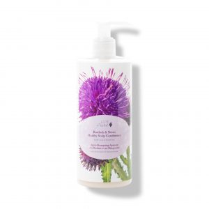 1HCCBNHS13OZ_Burdock_Neem_Conditioner_13OZ_Primary-300x300.jpeg